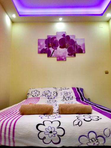 Maslina Rooms in Smederevo, Serbia