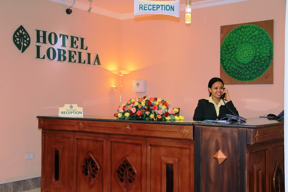 Hotel Lobelia — Addis Ababa — photo 4