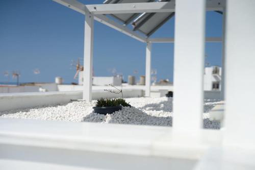 Bramasole 2 in Conil De La Frontera, Spain