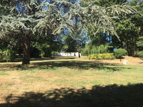 Nid Zen & SPA la Touche in Vierzon, France