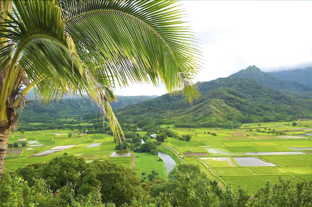 Waipouli Beach Resort A104 by RedAwning - photo 23