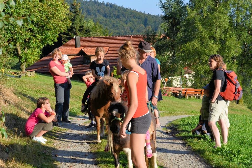 Freizeit und Erlebnishof Schötz — hotel in Haibach
