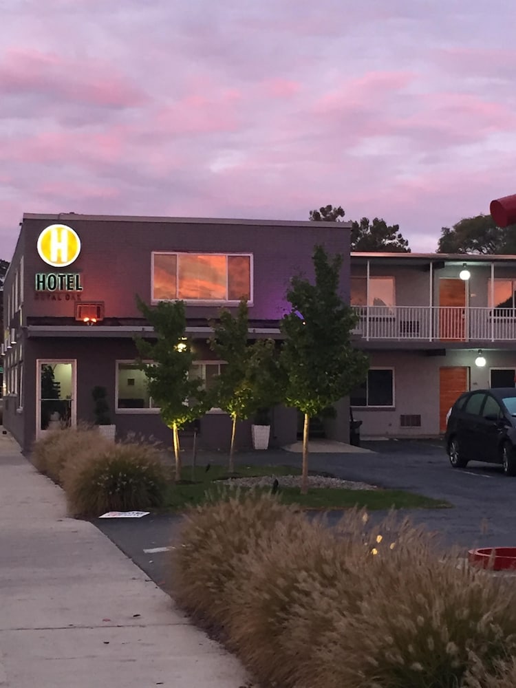 Hotel Royal Oak - photo 50