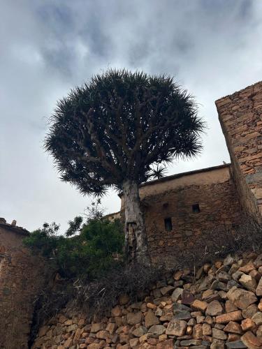 Ajgal imzi in Unknown City, Morocco