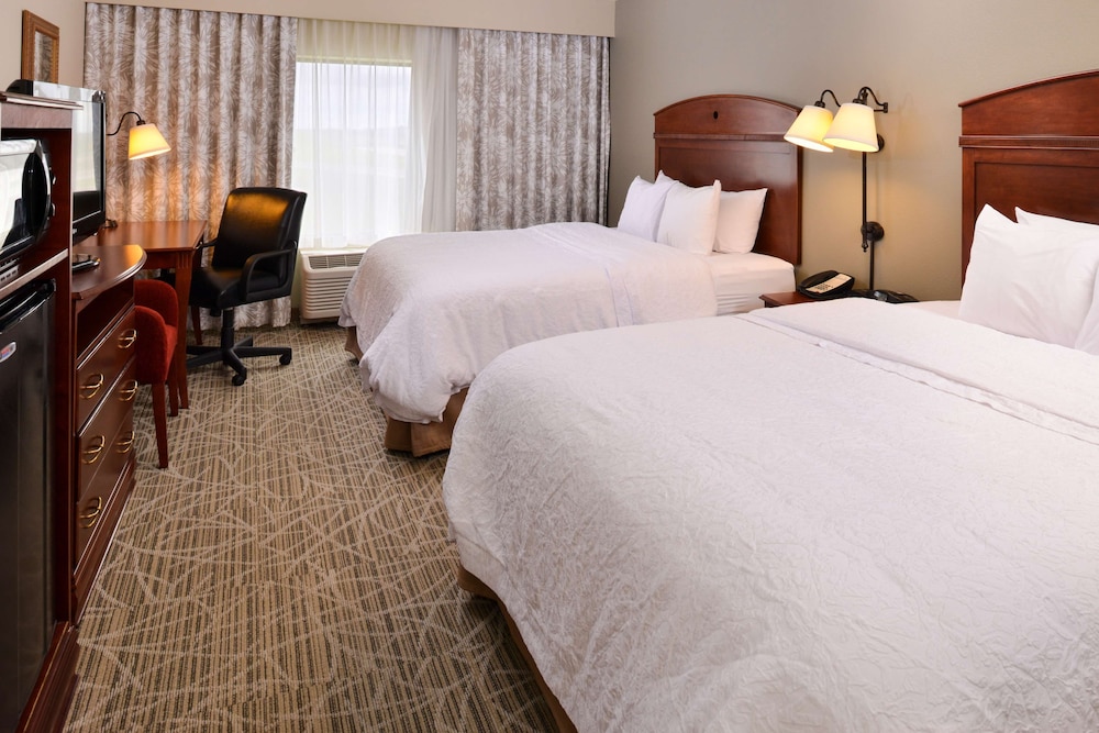 Hampton Inn by Hilton Litchfield - photo 21