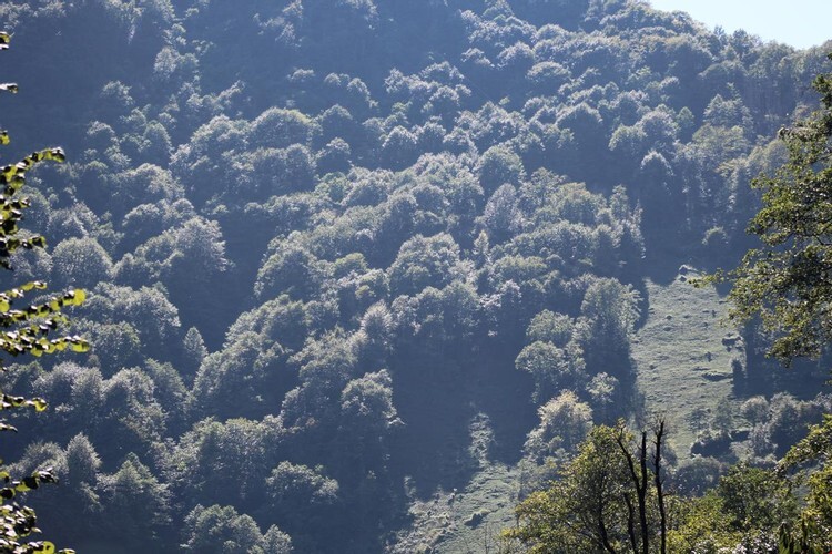 Kayi Pansiyon in Ardesen, Turkey