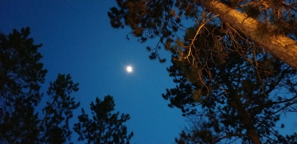 Evergreen Bay Resort - photo 124
