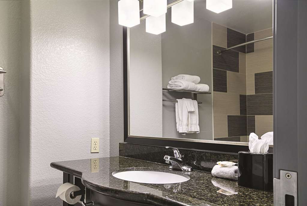 La Quinta Inn & Suites by Wyndham Dallas Hutchins - photo 25
