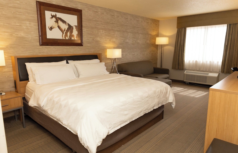 Holiday Inn Spearfish Convention Center by IHG - photo 12