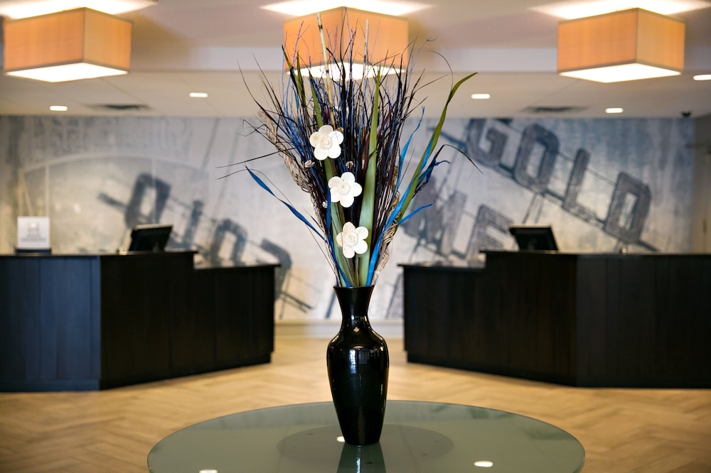 DoubleTree by Hilton Minneapolis Park Place - photo 5