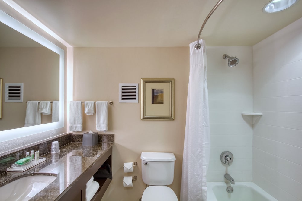 Holiday Inn Hotel & Suites Atlanta Airport North by IHG - photo 28