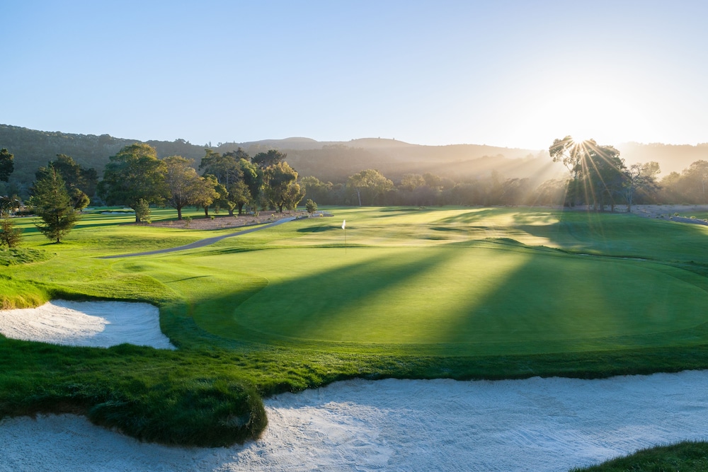 The Quail - photo 65