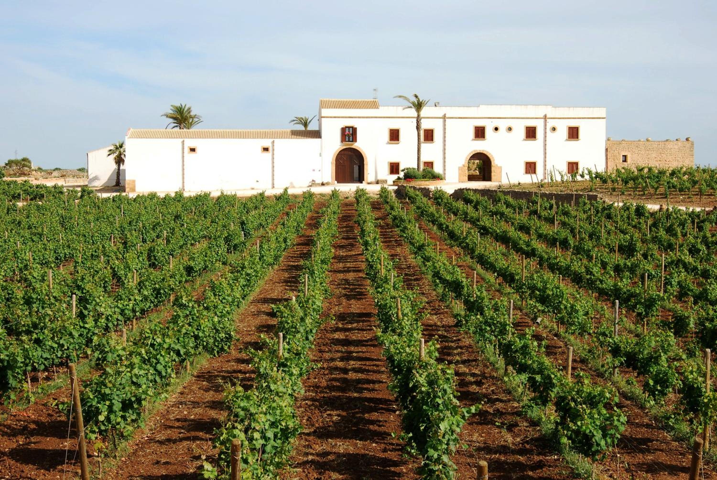 Agriturismo Baglio Donnafranca Wine Resort in Marsala, Italy