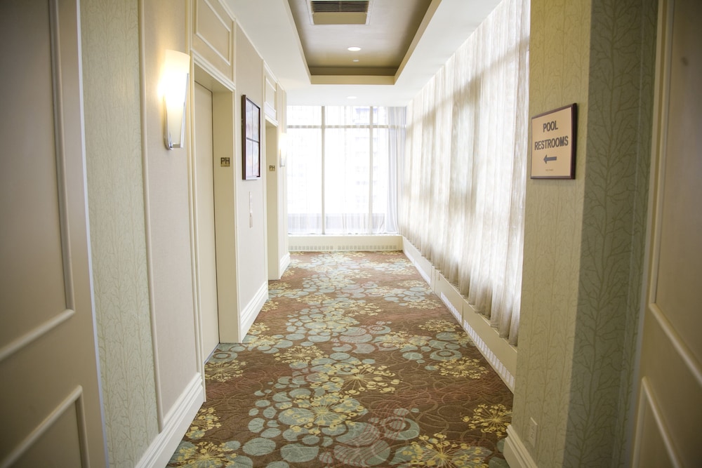 Skyline Hotel - photo 40
