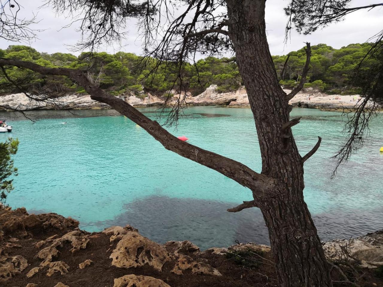 Starbal Love — Es Castell — photo 4