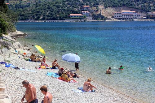 Apartments by the sea Zaton Veliki Dubrovnik 2107