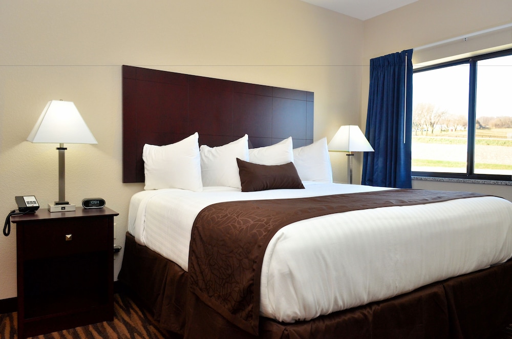 Cobblestone Inn & Suites Manning - photo 55