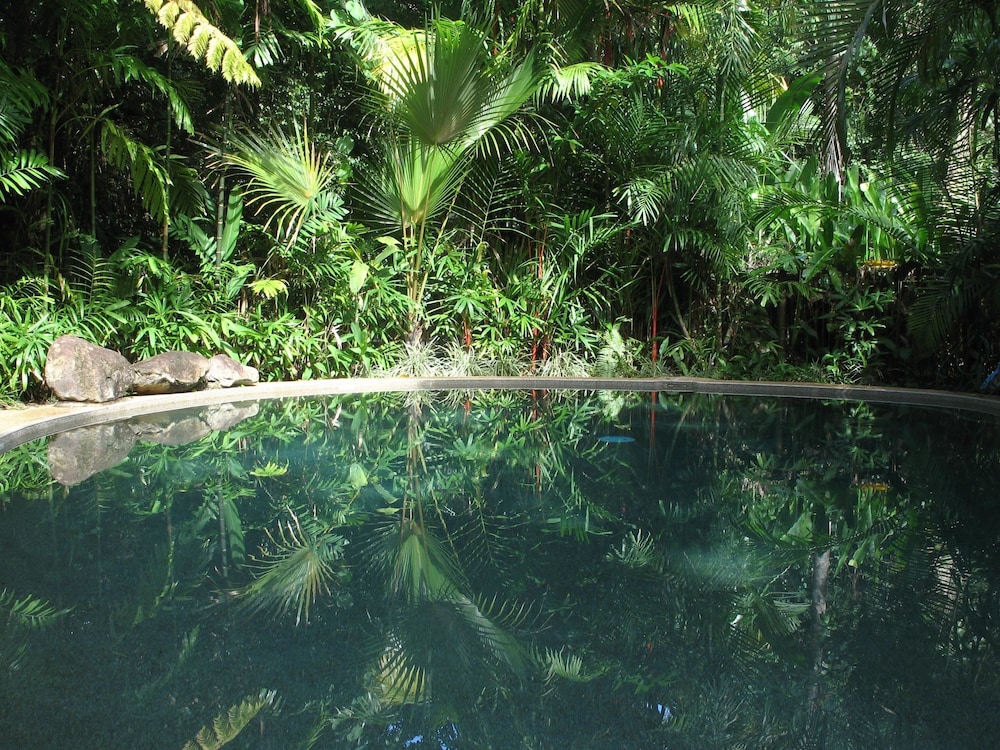 Daintree Rainforest Retreat Motel in Cairns, Australia
