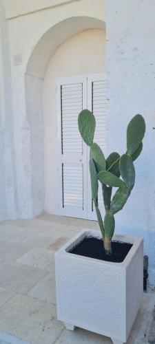 La Dimora dellaZingara in Crispiano, Italy