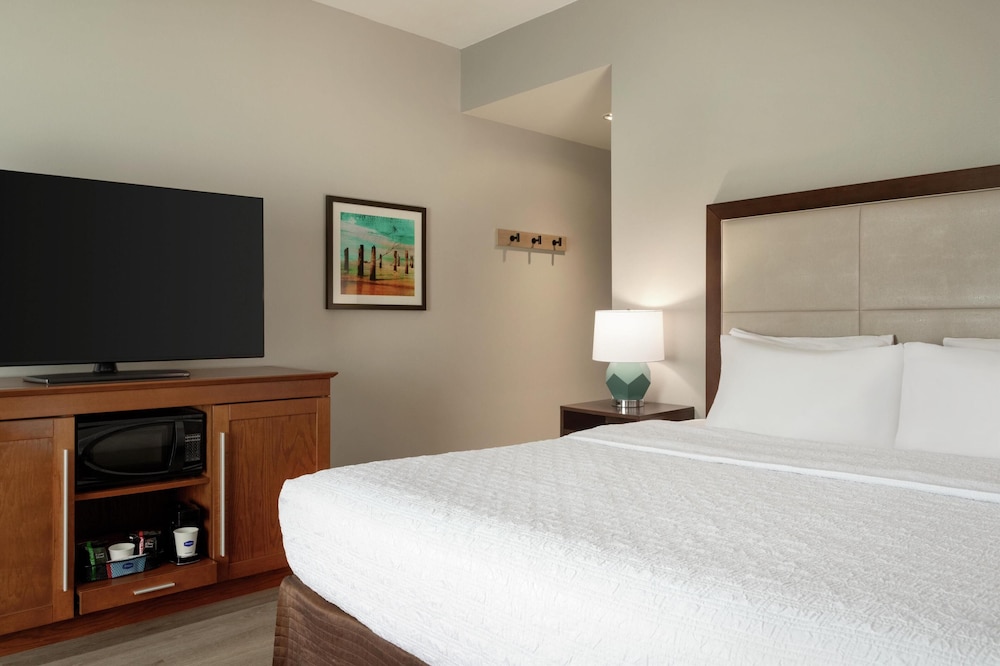 Hampton Inn & Suites Tampa Busch Gardens Area - photo 12