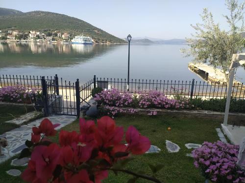 Blue Dreams — hotel in Karystos