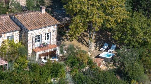 Scorpione in Gaiole In Chianti, Italy