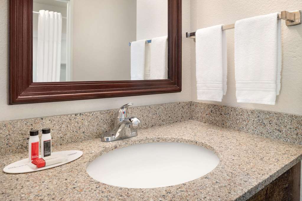 Baymont Inn & Suites by Wyndham Swanton Toledo Airport - photo 21