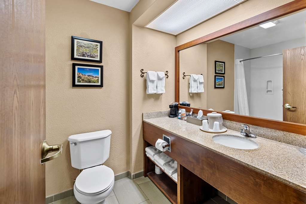 Comfort Inn Benson near Kartchner Caverns - photo 10