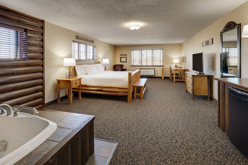 Stoney Creek Hotel Quad Cities Moline - photo 29