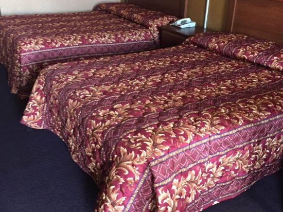 Executive Inn Mercedes - photo 10