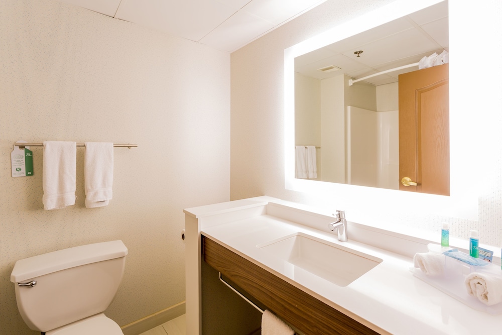Holiday Inn Express & Suites Reading by IHG - photo 23