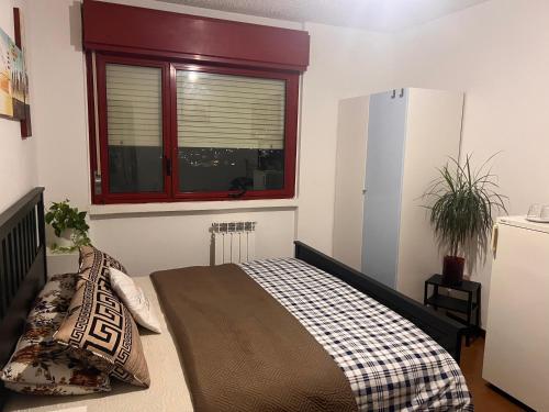 Friends and Family in Brescia, Italy