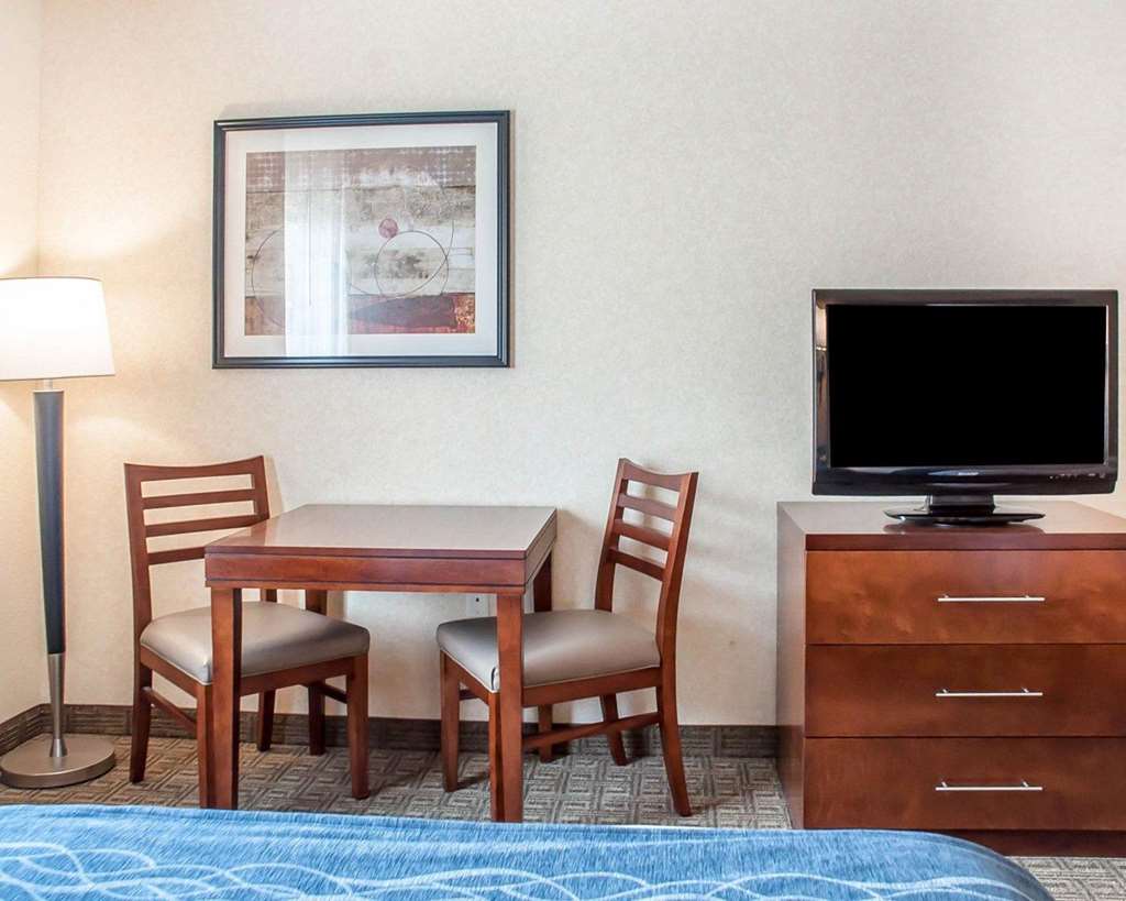 Comfort Inn & Suites Hamburg Buffalo South - photo 9