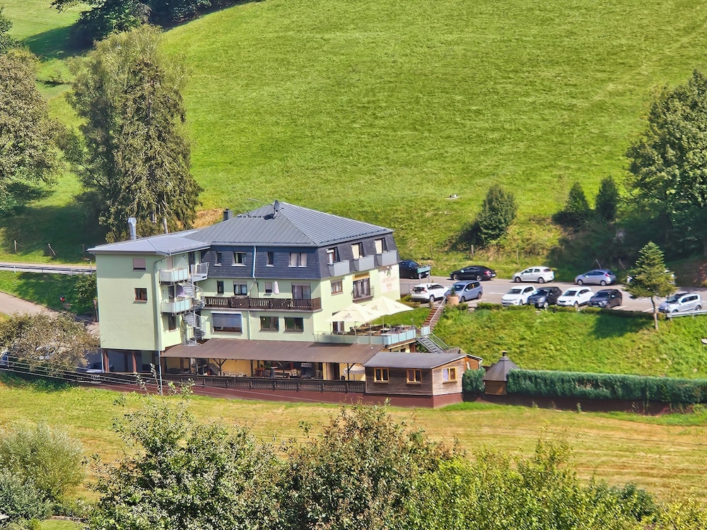 Hotel Landgasthof Grüner Baum — hotel in Beerfelden