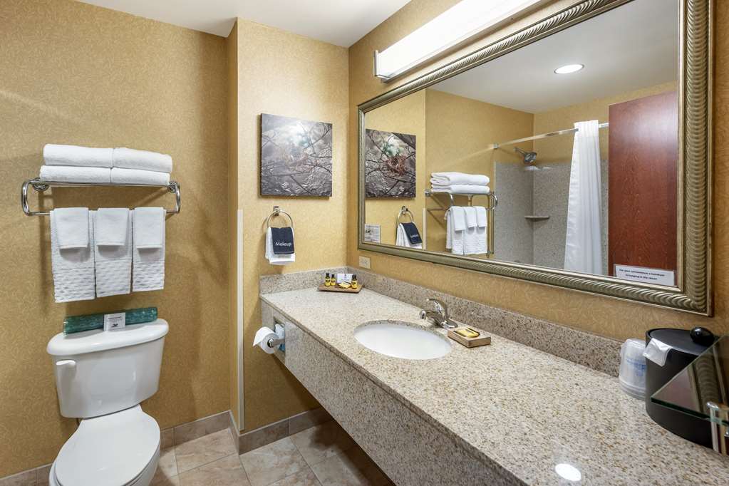 Best Western Plus Ponderay Mountain Lodge - photo 33