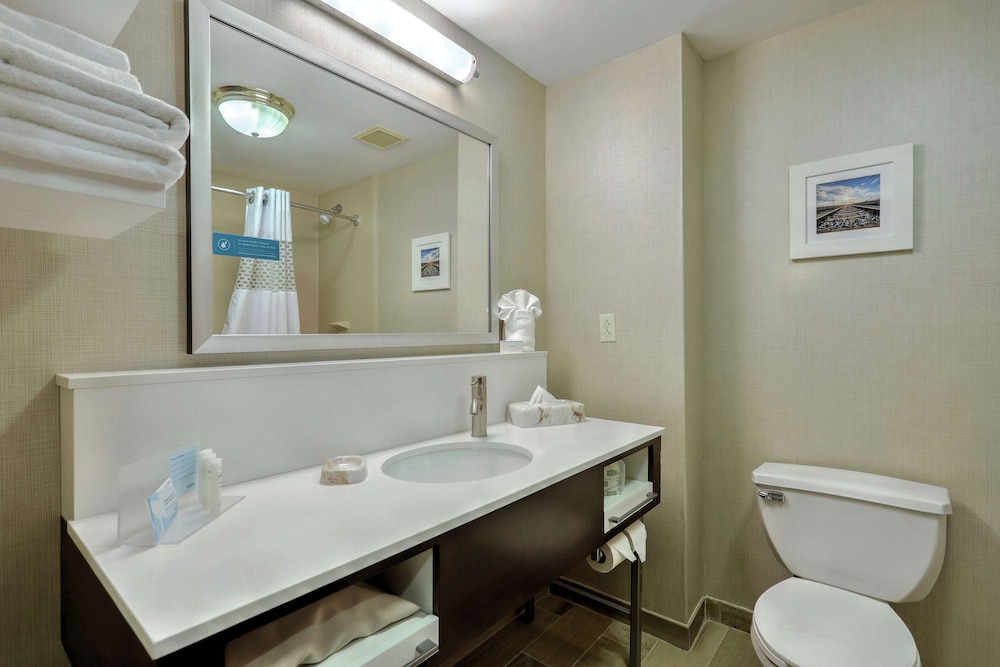 Hampton Inn Batavia - photo 16