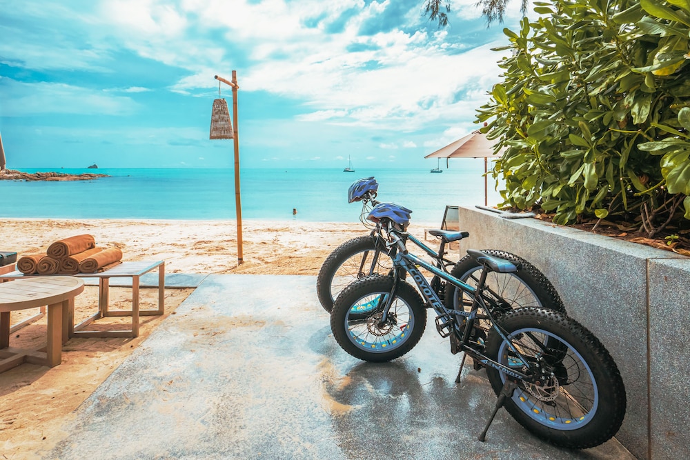 פעילויות וכושר