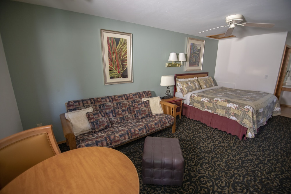 Coachlite Inn - photo 15