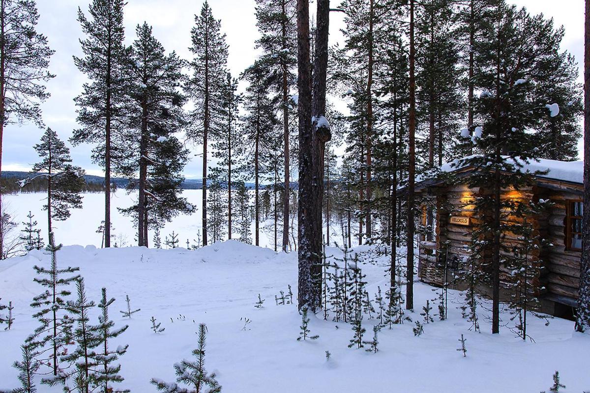 Kelokolo Ivalo — Ivalo — photo 5