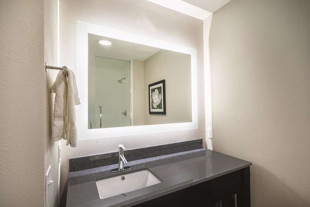 La Quinta Inn & Suites by Wyndham Memphis Downtown - photo 19