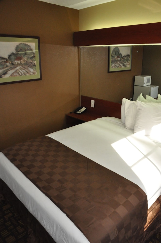 Microtel Inn & Suites by Wyndham Lithonia Stone Mountain - photo 7