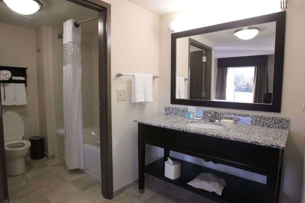Hampton Inn & Suites Seneca Clemson Area - photo 34