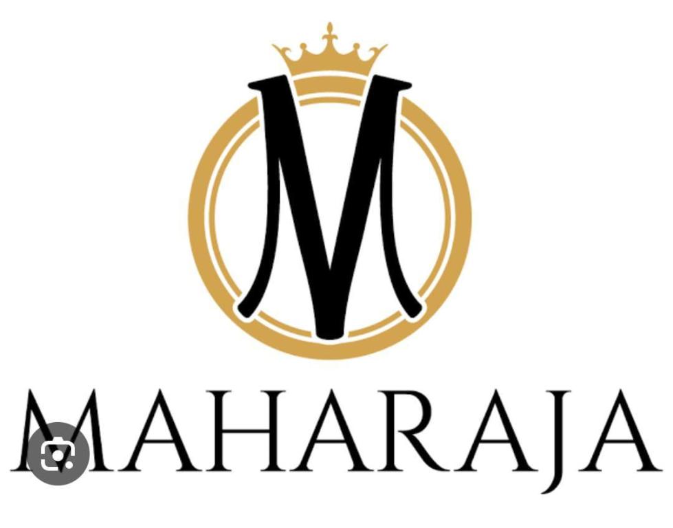 Hotel Maharaja - last minute hotel in Udaipur