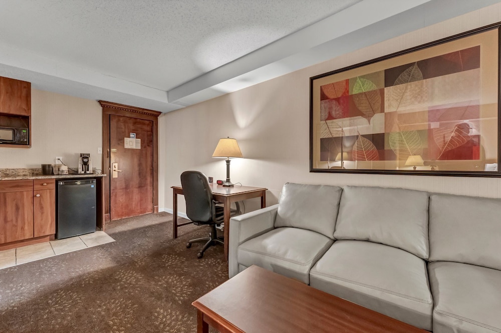 Buffalo Airport Hotel - photo 40
