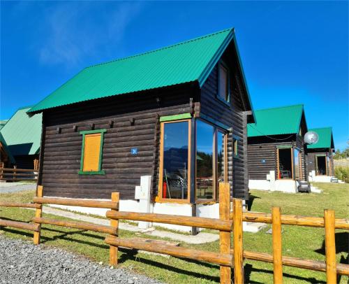 Black Pine in Zabljak, Montenegro