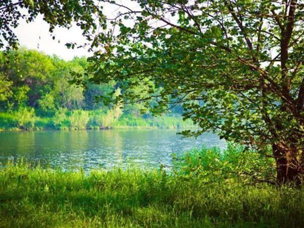 Samaras Cottages Mastryuki Finsky 43 in Kurumoch, Russia