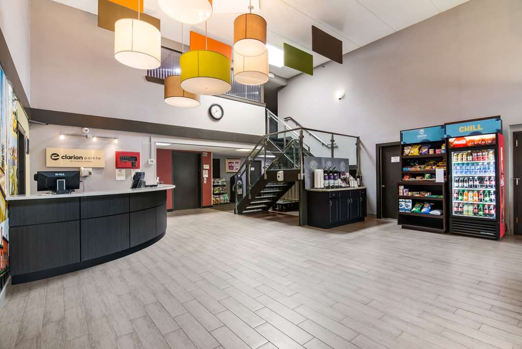 Clarion Pointe Jamestown Falconer - photo 5