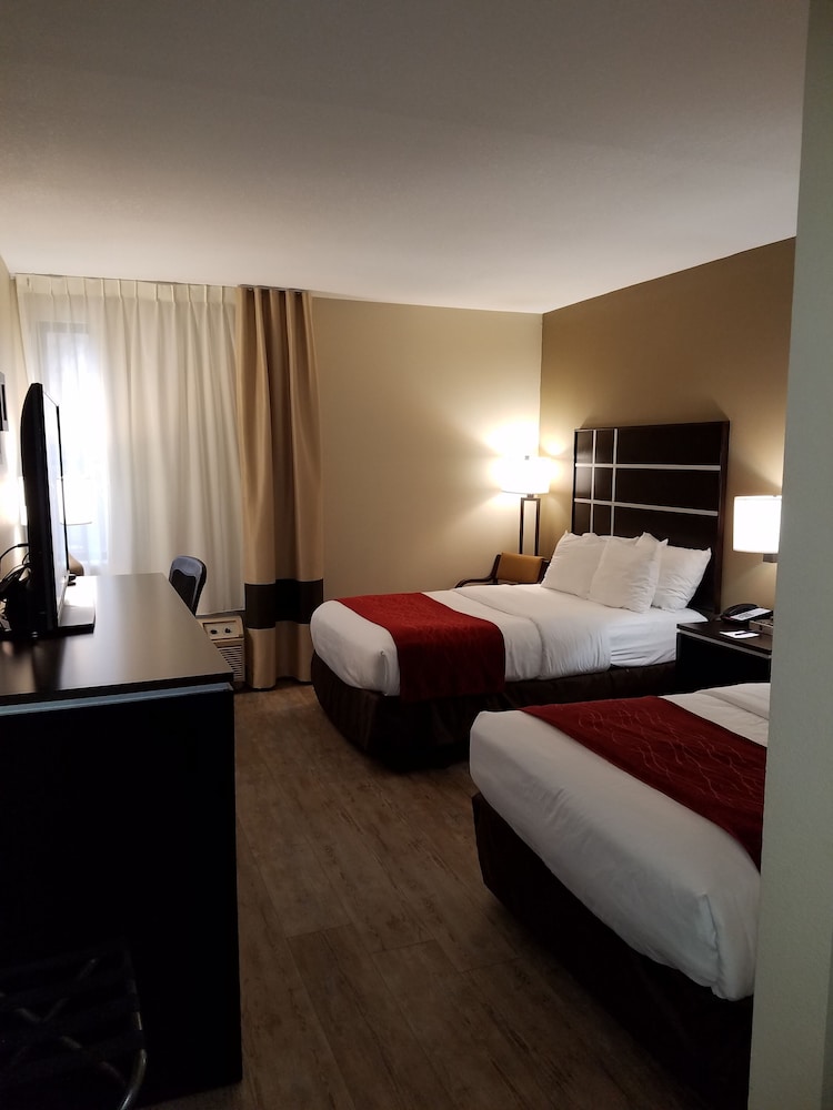 Comfort Inn North of Asheville - photo 17
