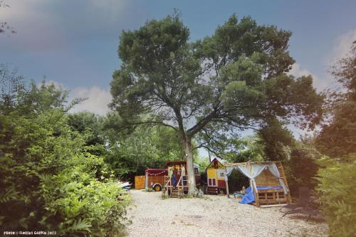 La Roulotte Cavaliere Au Cur D Une Manade En Camargue — Arles