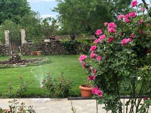 Chez Yvette Hotel in Garrni, Armenia